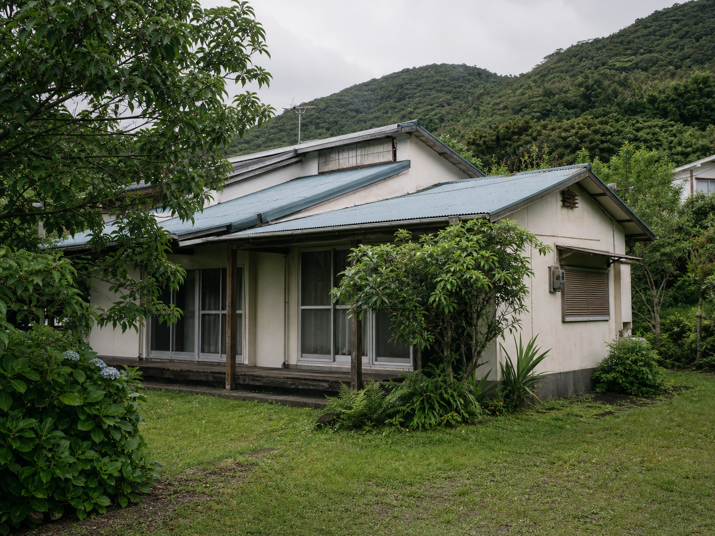 緑に囲まれた古い家